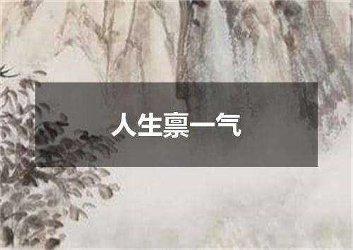 人生禀一气