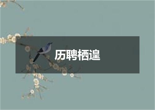 历聘栖遑
