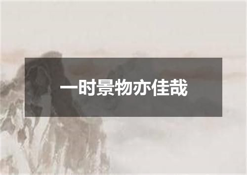 一时景物亦佳哉