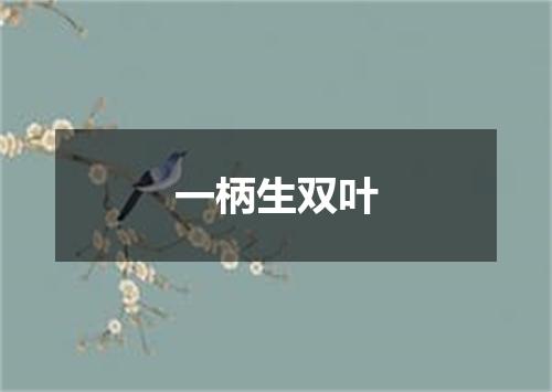 一柄生双叶