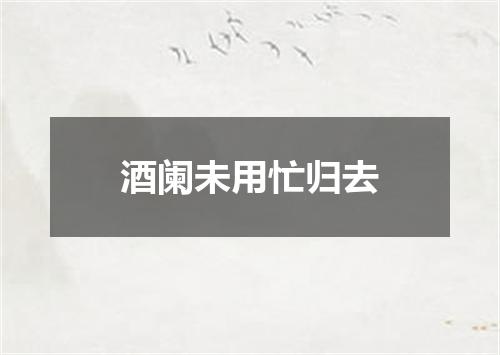 酒阑未用忙归去