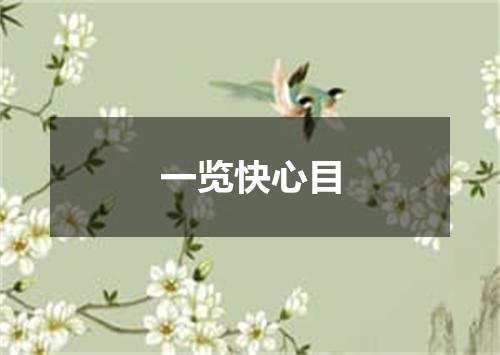 一览快心目