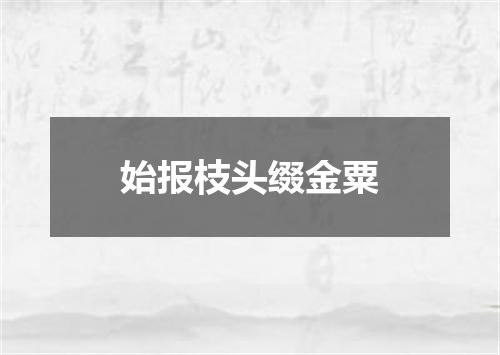 始报枝头缀金粟