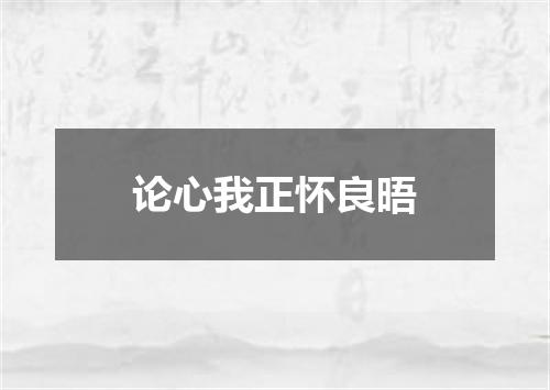 论心我正怀良晤