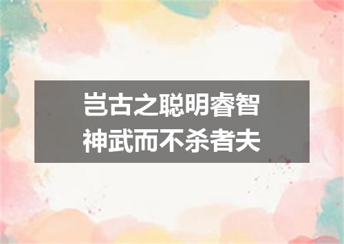 岂古之聪明睿智神武而不杀者夫