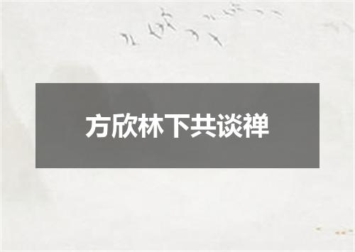 方欣林下共谈禅