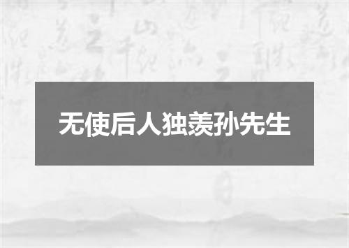 无使后人独羡孙先生