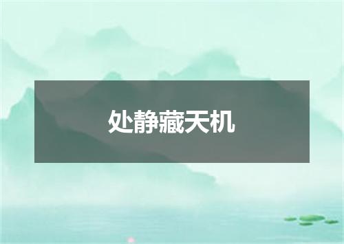 处静藏天机