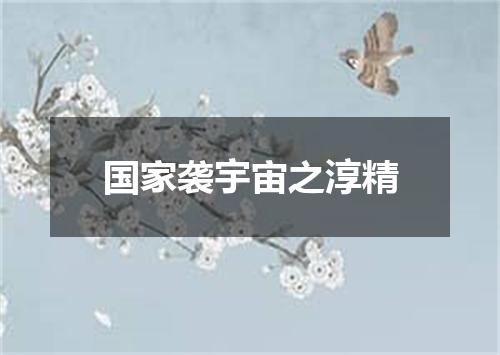 国家袭宇宙之淳精