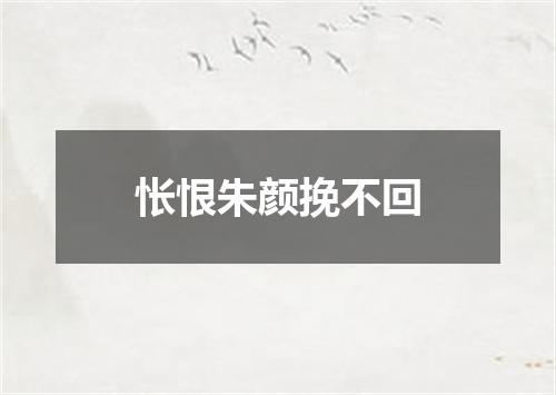 怅恨朱颜挽不回