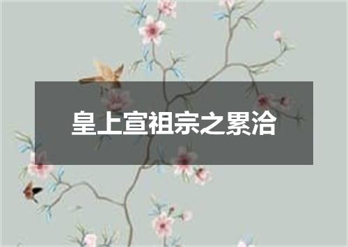 皇上宣祖宗之累洽