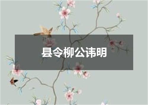县令柳公讳明