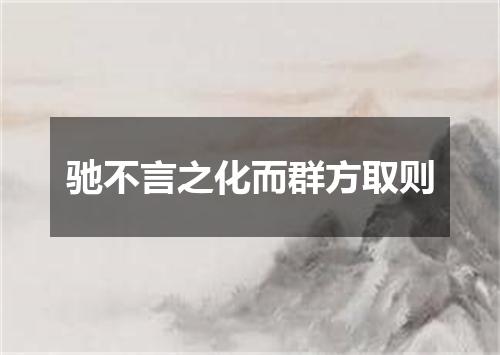 驰不言之化而群方取则