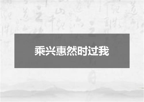 乘兴惠然时过我