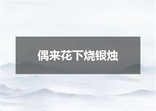 偶来花下烧银烛
