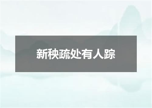 新秧疏处有人踪