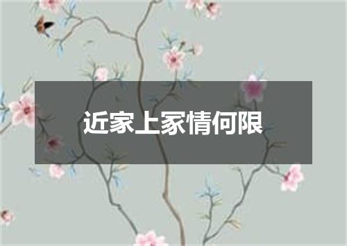 近家上冢情何限