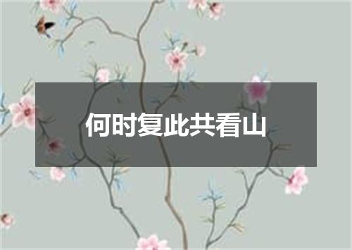 何时复此共看山