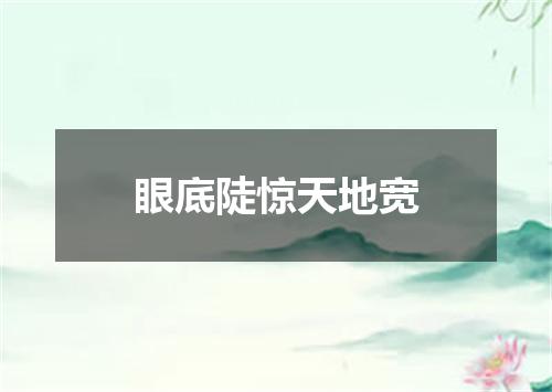 眼底陡惊天地宽