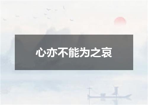 心亦不能为之哀