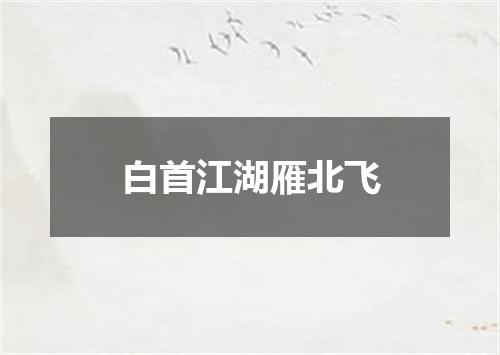 白首江湖雁北飞