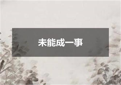 未能成一事