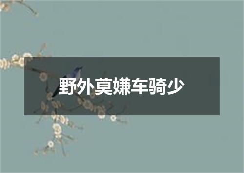 野外莫嫌车骑少