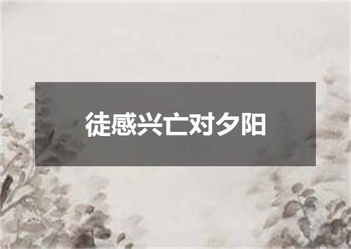徒感兴亡对夕阳