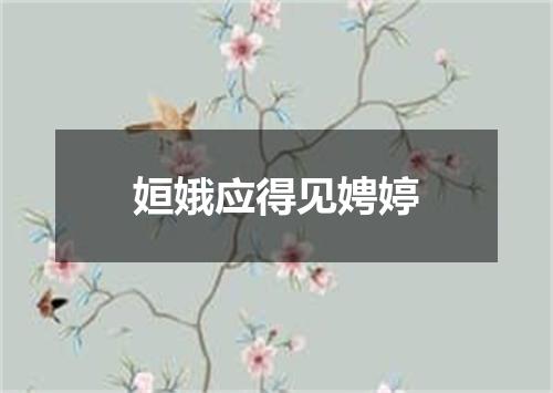 姮娥应得见娉婷