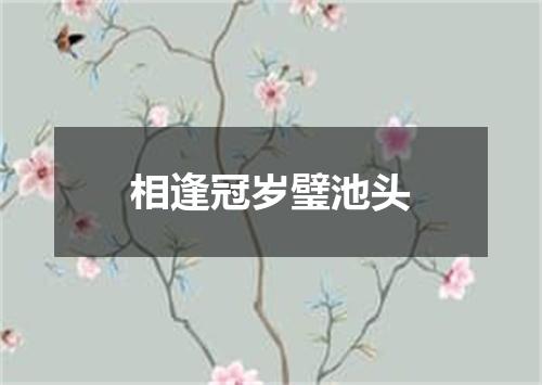 相逢冠岁璧池头
