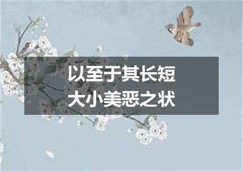 以至于其长短大小美恶之状