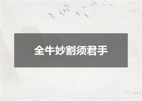 全牛妙割须君手