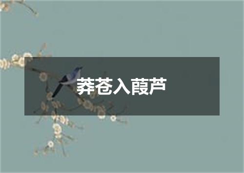 莽苍入葭芦
