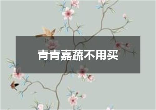 青青嘉蔬不用买