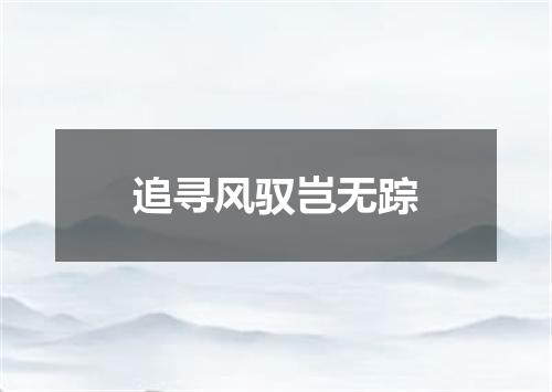 追寻风驭岂无踪