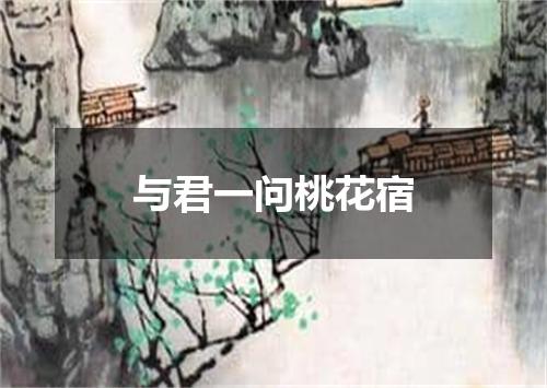 与君一问桃花宿