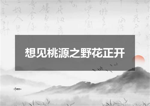 想见桃源之野花正开