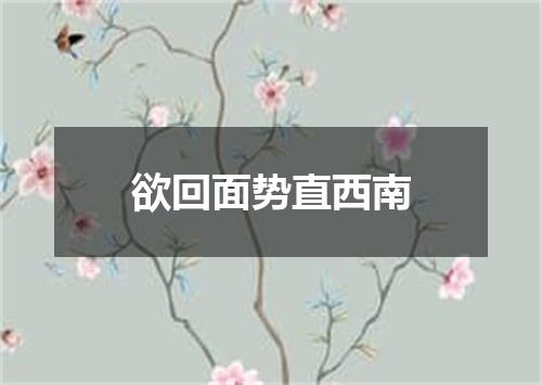 欲回面势直西南