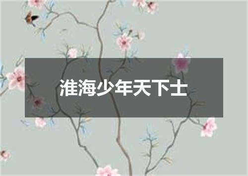 淮海少年天下士