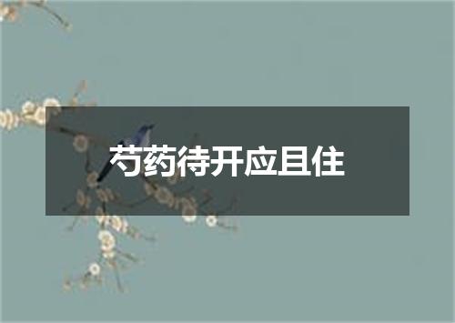 芍药待开应且住