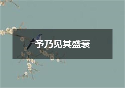 予乃见其盛衰