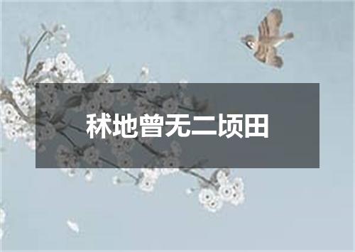 秫地曾无二顷田