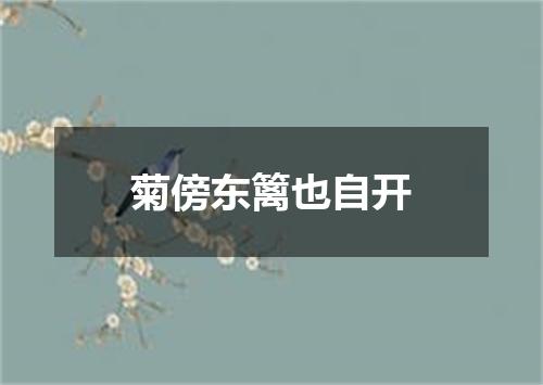 菊傍东篱也自开