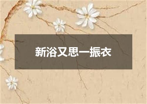 新浴又思一振衣