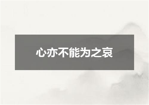 心亦不能为之哀