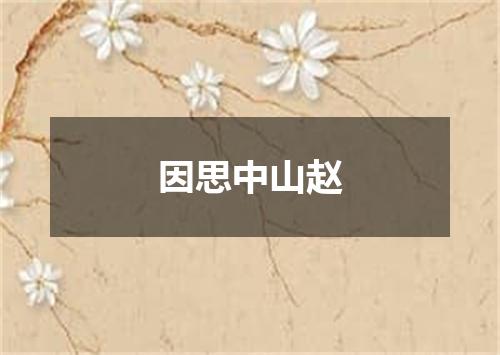 因思中山赵