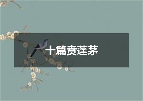 十篇贲蓬茅