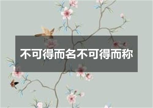 不可得而名不可得而称