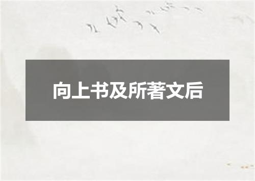 向上书及所著文后