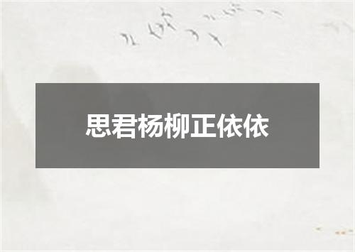 思君杨柳正依依